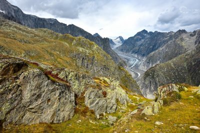Aletschgletscher Ausblick grün Felsen