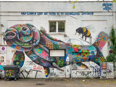 ESG Graffiti Fisch Hauswand bunt