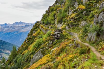 Aletschgletscher Wanderweg am Berg