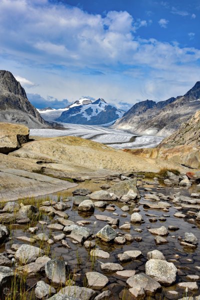 Aletschgletscher Hochformat Steine