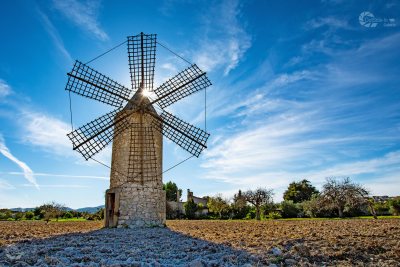 HPMallorca Windmühle Gegenlicht mit Wasserzeichen Homepage