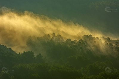 Mallorca morgennebel morgenlicht duester