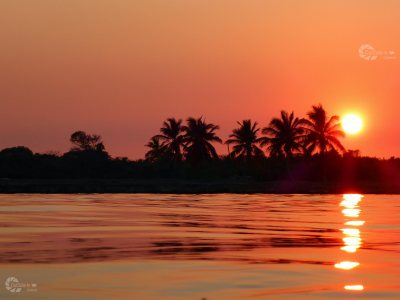 Sonnenuntergang Insel Palmen Meer  mit Wasserzeichen Homepage
