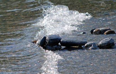 Wasser und Steine  Ausschnitt mit Wasserzeichen Homepage